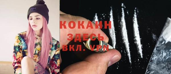 мяу мяу мука Аркадак