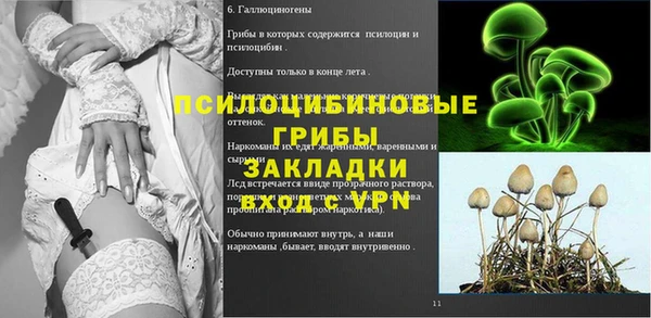 мяу мяу мука Аркадак
