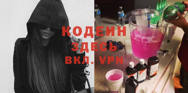 индика Белая Холуница