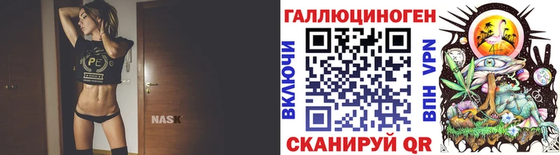 kraken зеркало Нягань Галлюциногенные грибы ЛСД